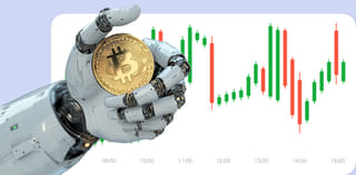 Dashboard view of the Renard Placoire crypto exchange platform